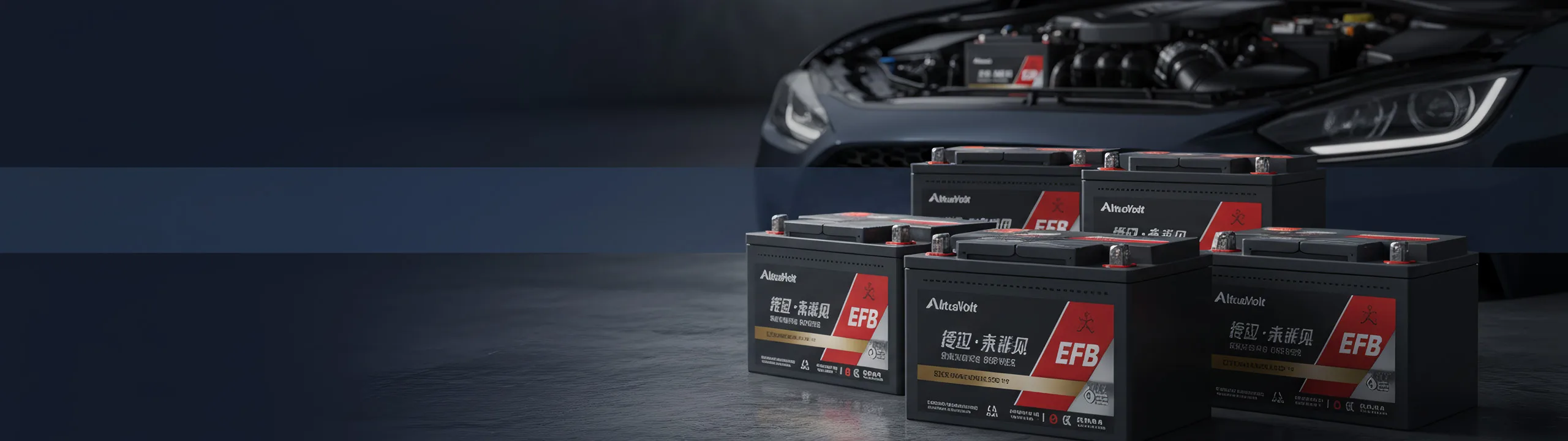 EFB Batteries